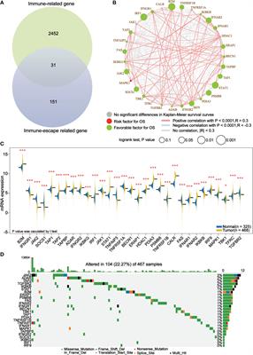 Molecular profiling of core immune-escape genes highlights LCK as an immune-related prognostic biomarker in melanoma